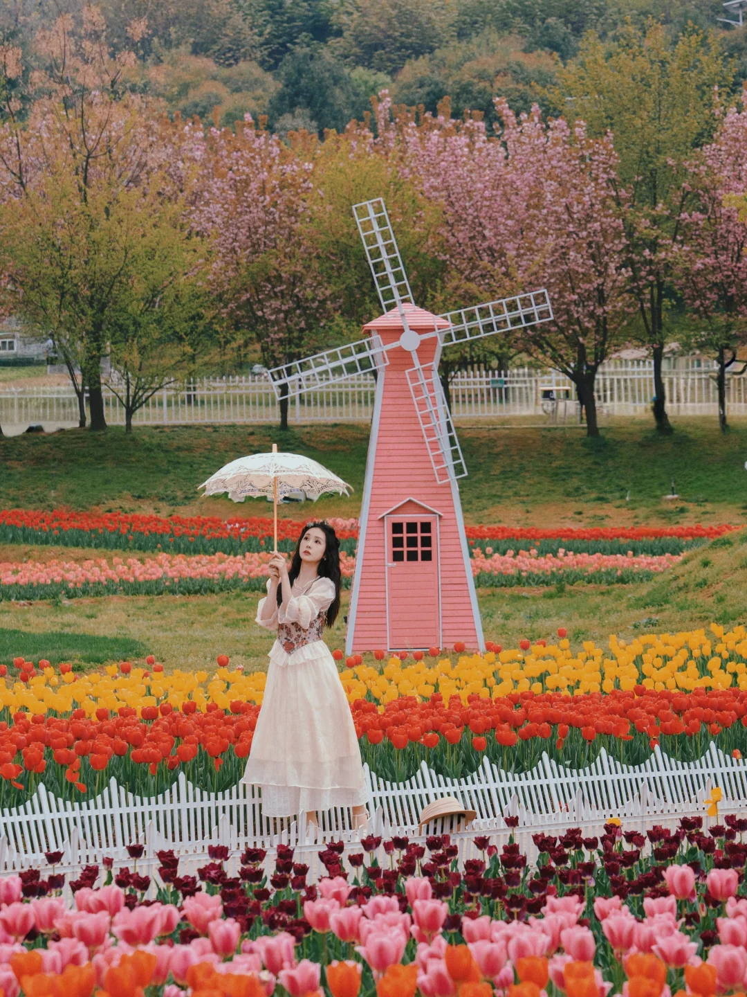 我宣布，这里才是西安赏郁金香天花板