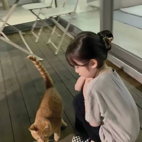 梨花香浅浅