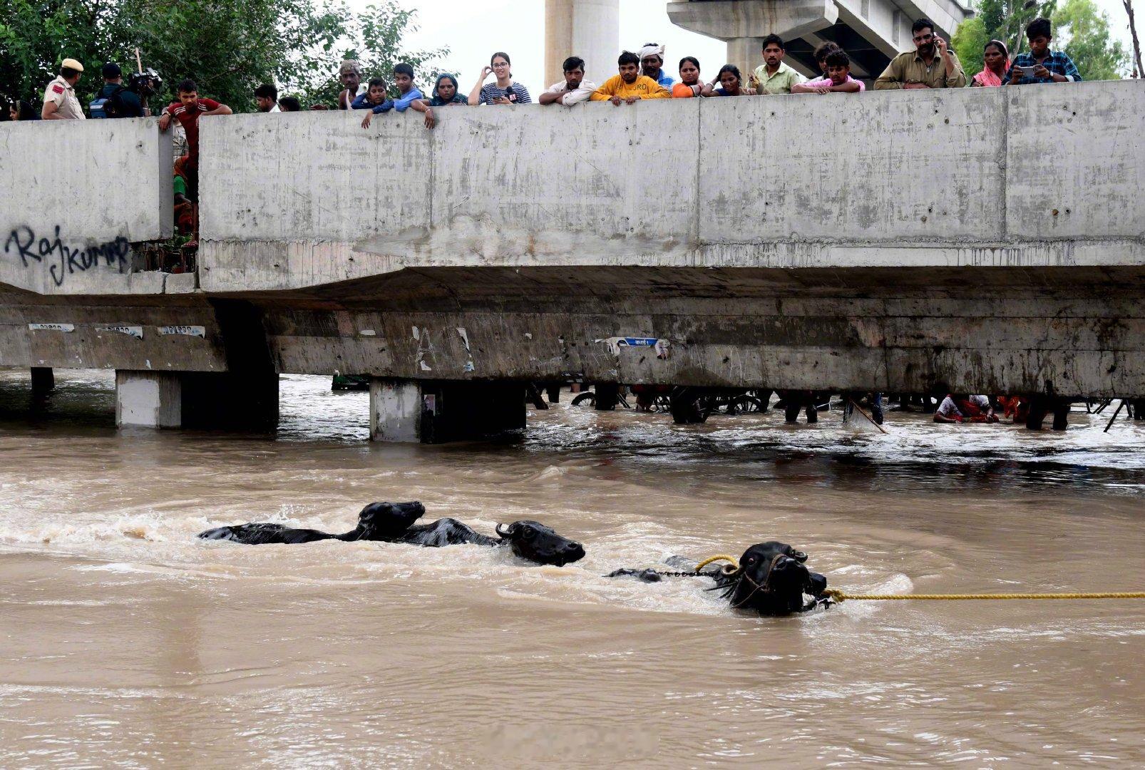 #印度暴雨已致56人死亡#【印度北方邦暴雨已致56人死亡】据印度北方邦灾害管理部门27日消息，过去3天，该邦遭遇强降雨和暴风天气，已造成至少56人死亡。 ​