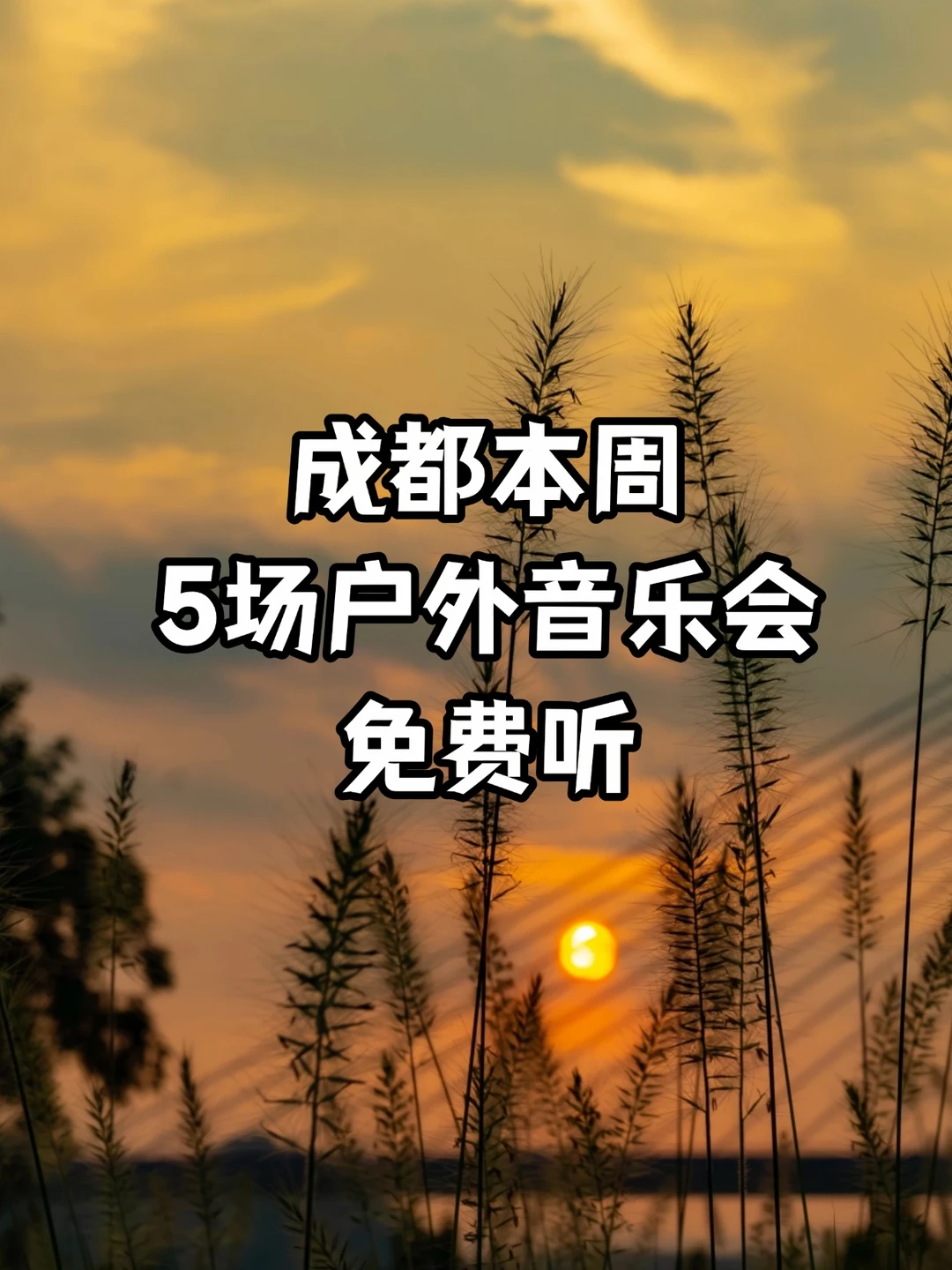 入秋啦！来听成都这5场免费户外音乐会