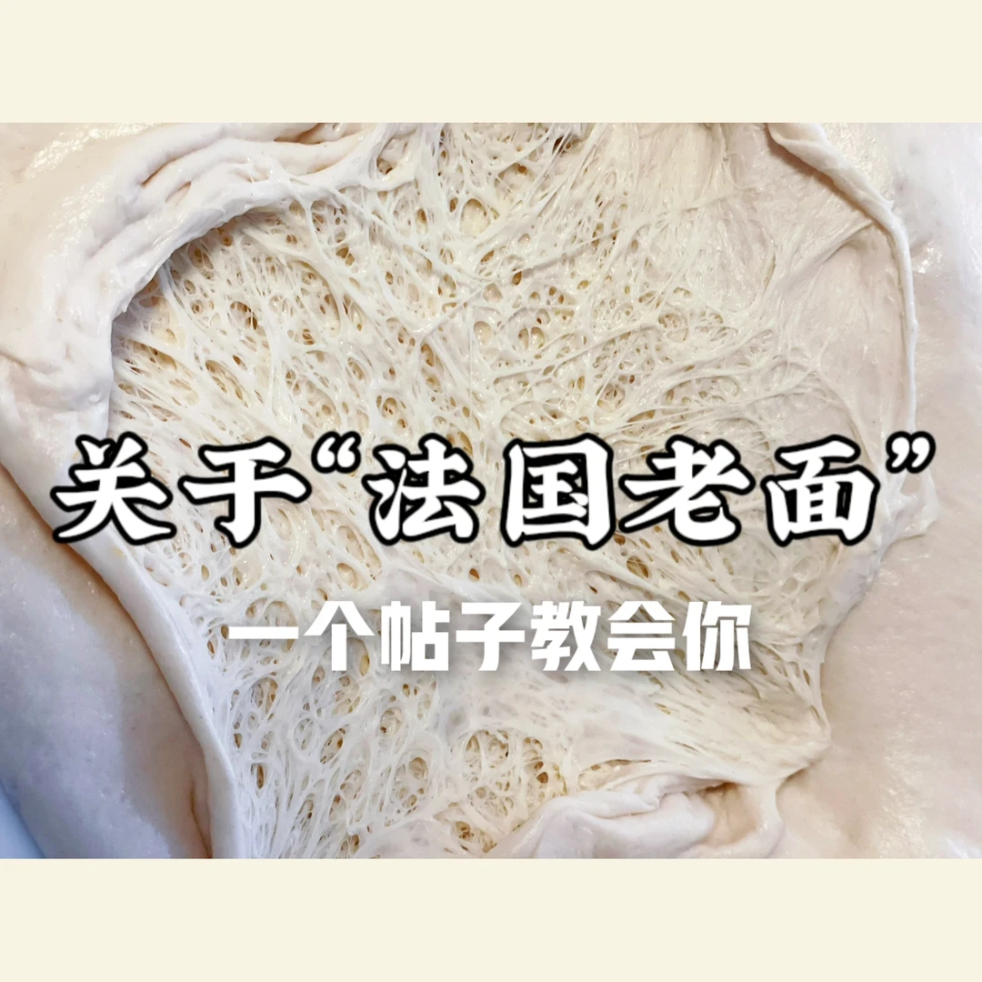 关于🍞通用“法国老面”的一切