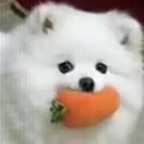 [超话] 晚安 ​​​