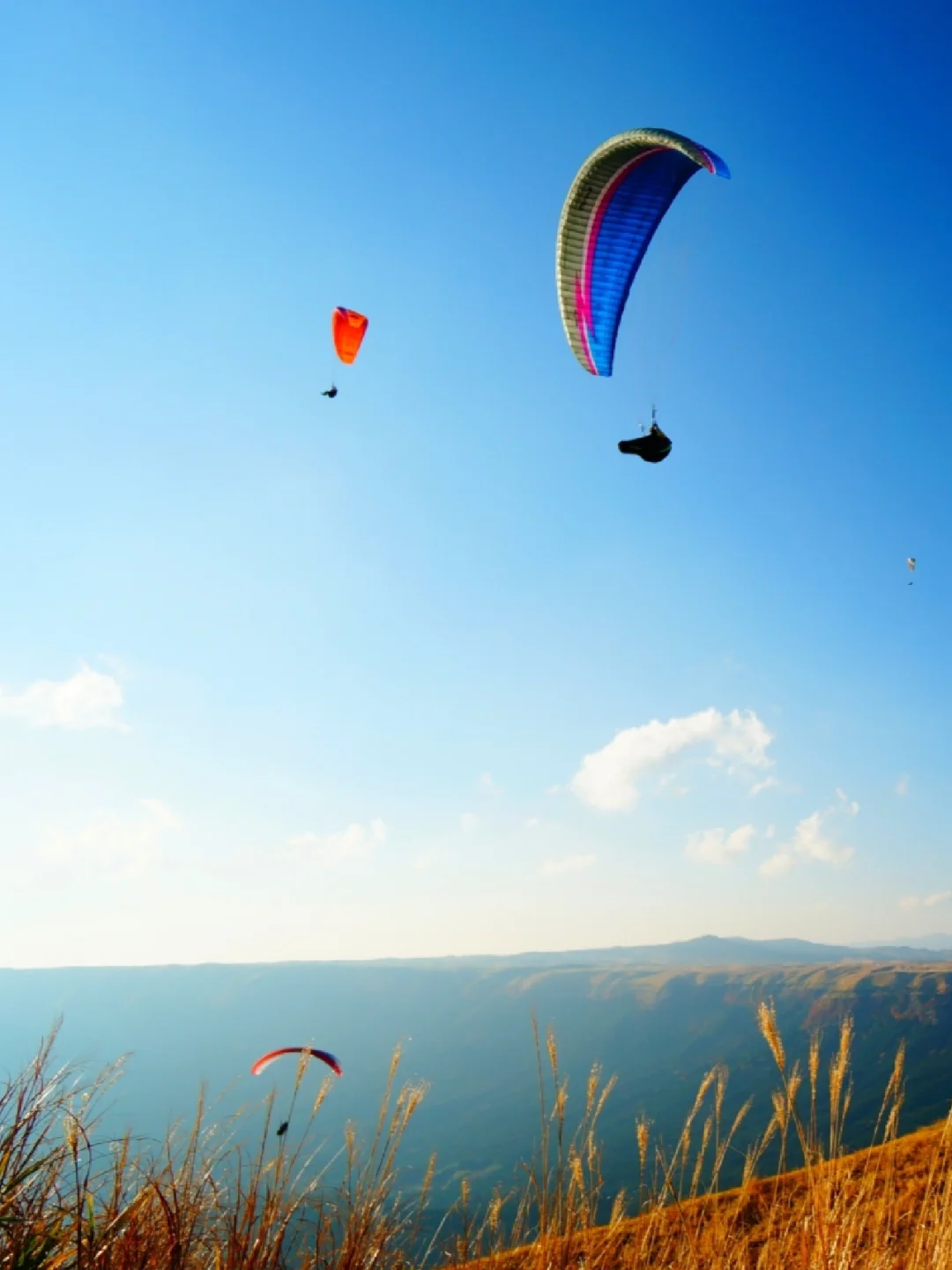 日本熊本 | 刺激又浪漫的空中漫步