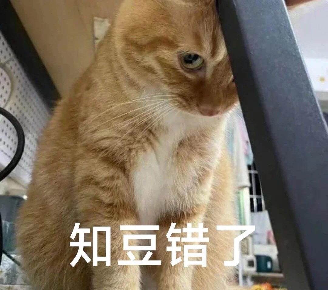 今日小咪负面反思：1.真的是那种喜欢讲道理的咪，别人只想跟咪谈恋爱，咪只想跟别人讲道理。阿…阿咪陀佛…2.啰嗦，较真儿的时候真的很啰嗦。3.觉得自己永远是对的，不接受他人对咪否定的表达，喜欢肯定的分析和表达。4.慈悲：慈是见过/经历过苦难而心不动，悲是意识的无限延伸。放要死的赶紧死，从中总结出利群体的技术手段得以应用，是慈悲。咪说 最让人讨厌的性格特征