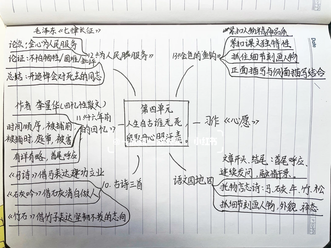 六下语文，思维导图第四和第五单元