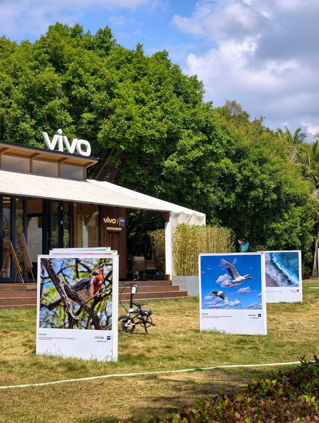 vivo在深圳湾的快闪店真的很拉风~🪁#vivo[超话]#

整个海岸线就这一家，图片都是深圳湾的候鸟  ​