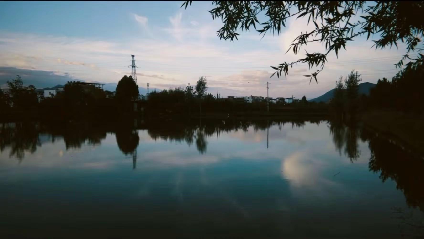 人间唯有相伴最难得 手机摄影 inmyfeelings