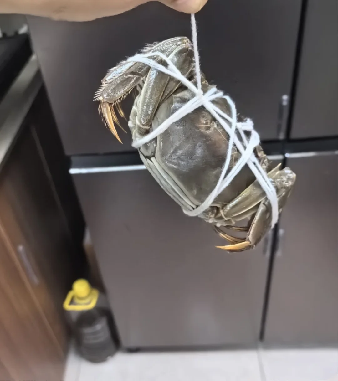 只能三倍做多蟹模了