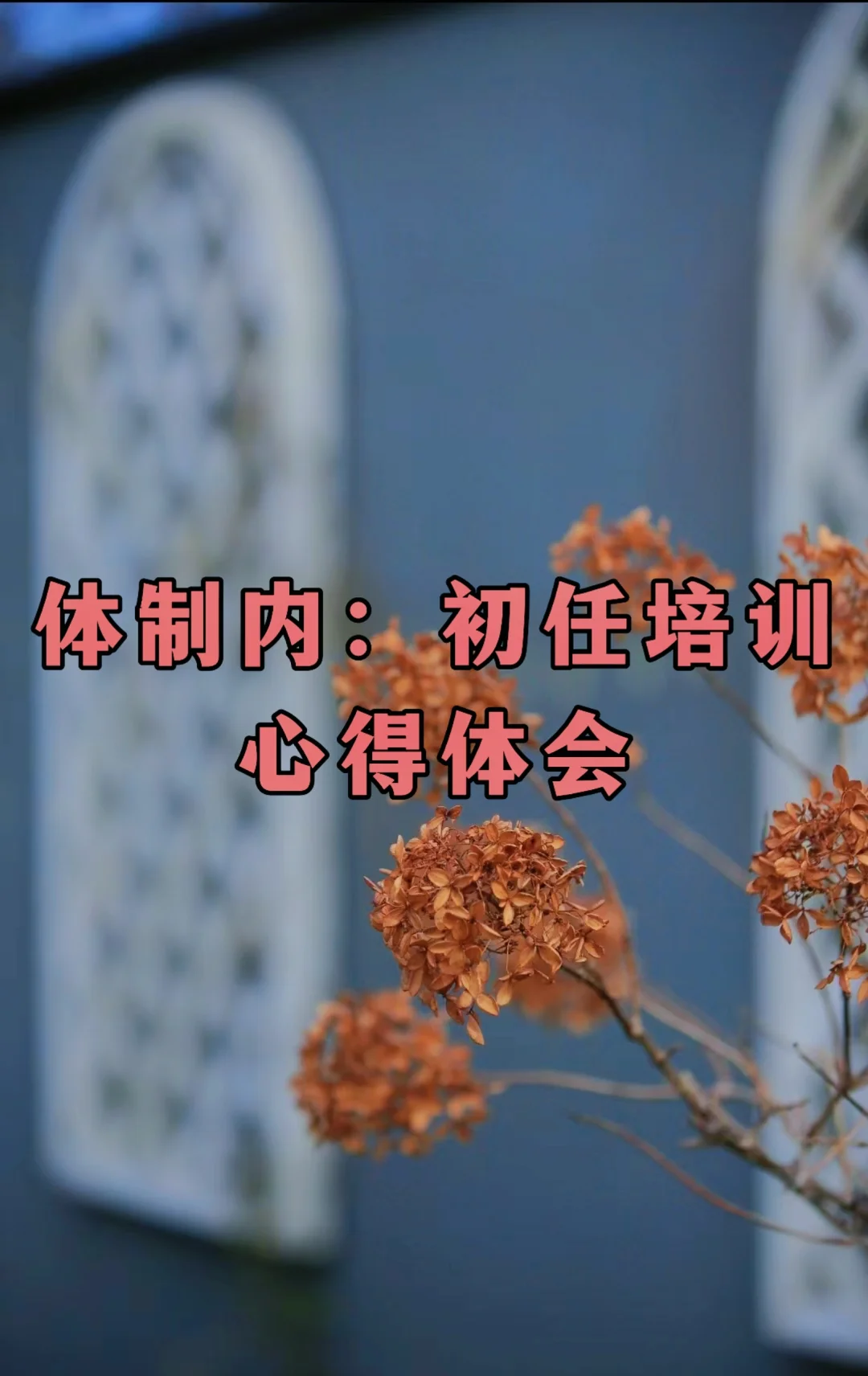体制内：初任培训心得体会