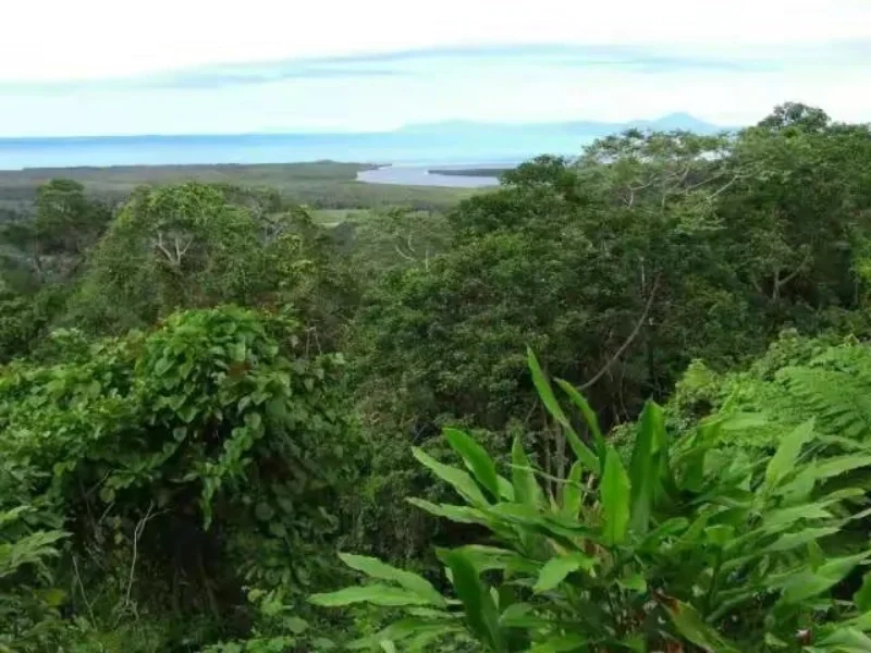 体制内：五一劳动节森林草原防火工作提示