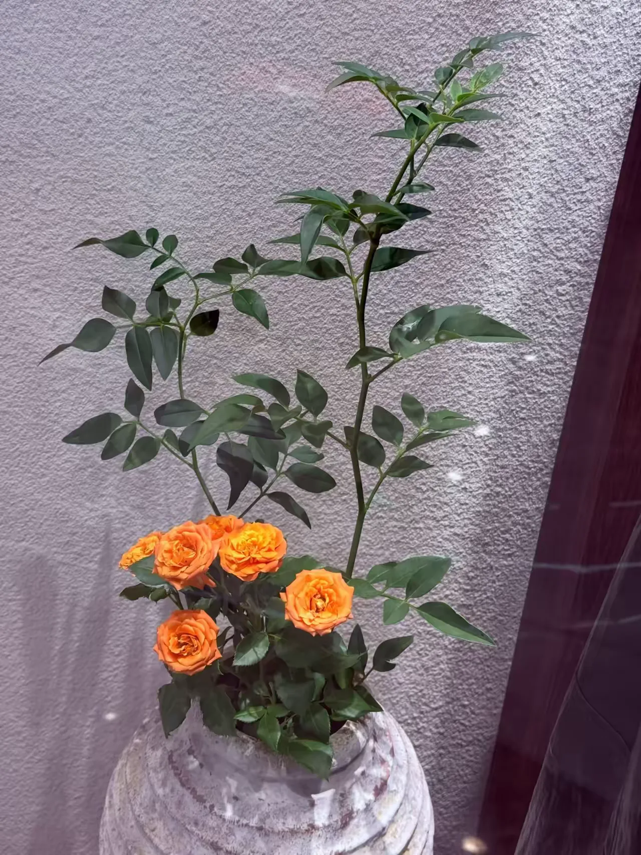一段震撼人心的话：“人一定要敬畏婚姻，你可以选择离了婚，但你绝不能在婚姻之内制造伤害。敬畏婚姻是做人的修养，是你对一个家庭的责任，是你的人品。”

先把话说清楚，这段话的核心根本不是在反对离婚。过不下去就分开，法律给了每个人这个出口，没什么好指摘的。它真正戳中的是另一件事：在婚姻还没结束的时候，就已
