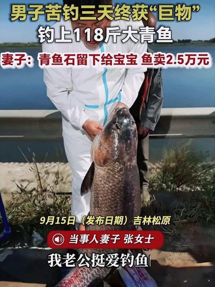 太牛了！

吉林男子苦钓3天，钓上118斤超大青鱼！卖2.5万却舍不得一块小石头
 
你敢信？钓鱼居然能钓出父爱天花板！吉林松原一位大哥，硬生生在河边蹲守整整三天，最后钓上来一条重达118斤的巨型青鱼，场面直接看呆旁人！
 
别人钓鱼是休闲娱乐，这位大哥钓鱼，完完全全是极限挑战。整整三天风吹日晒，耐