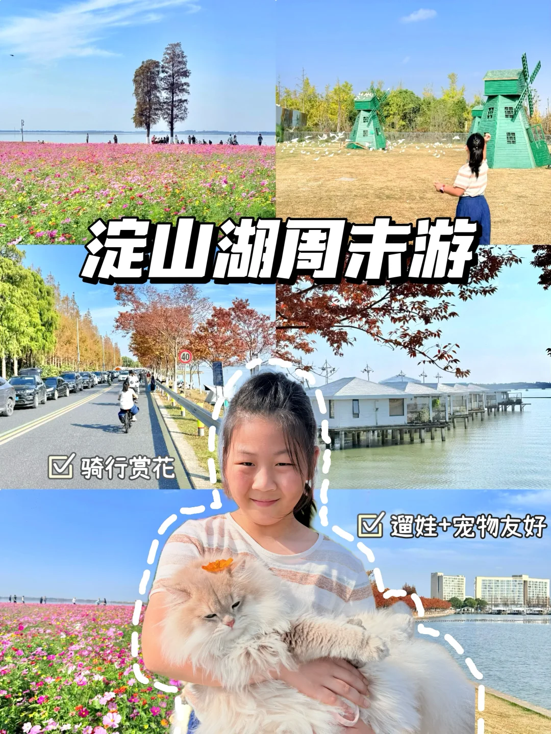 淀山湖找到了娃和毛孩子的快乐老家‼️