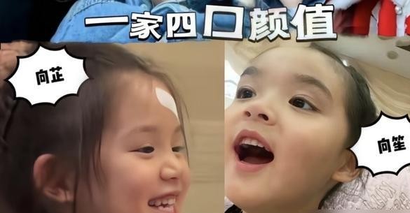 郭碧婷这次算是彻底把豪门的固有剧本给撕了个粉碎。
外公随手晒出向笙的正脸照，网上直接炸了锅。这四岁小家伙的长相，眉眼清秀得挑不出毛病，哪有一点向家那种粗犷的影子，全靠当妈的基因在硬扛。
更让人意外的是小男孩那一头长发。
别家豪门孩子留长发可能是为了搞艺术、彰显个性，向笙留长发的原因却很简单：郭