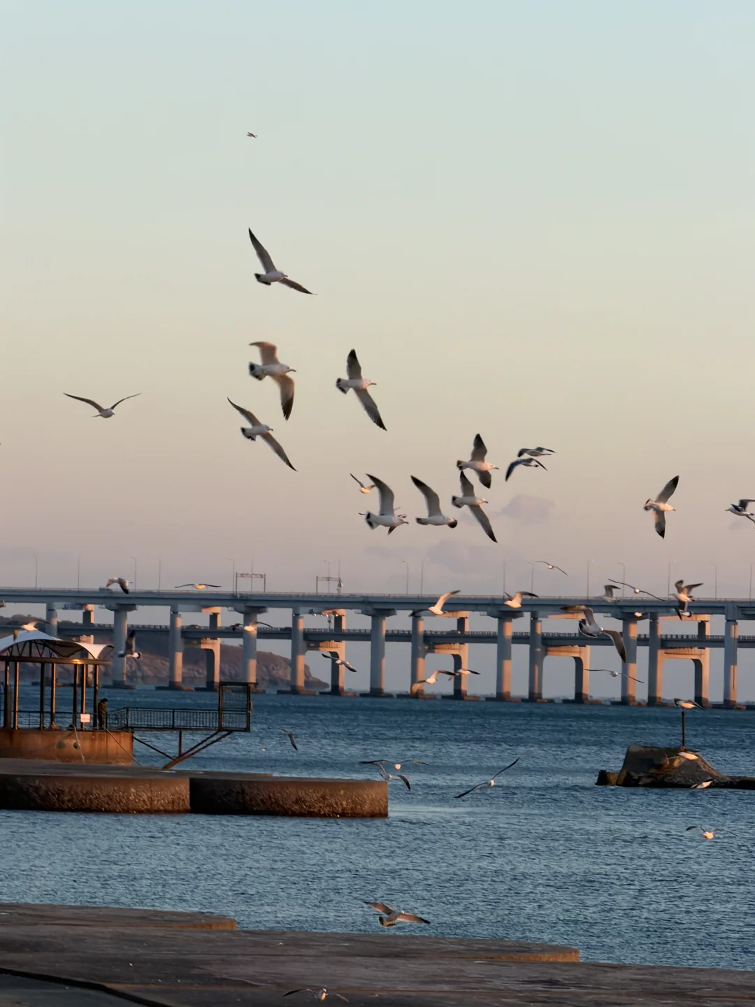 在大连！！淡季的大连真的是人间理想！！！