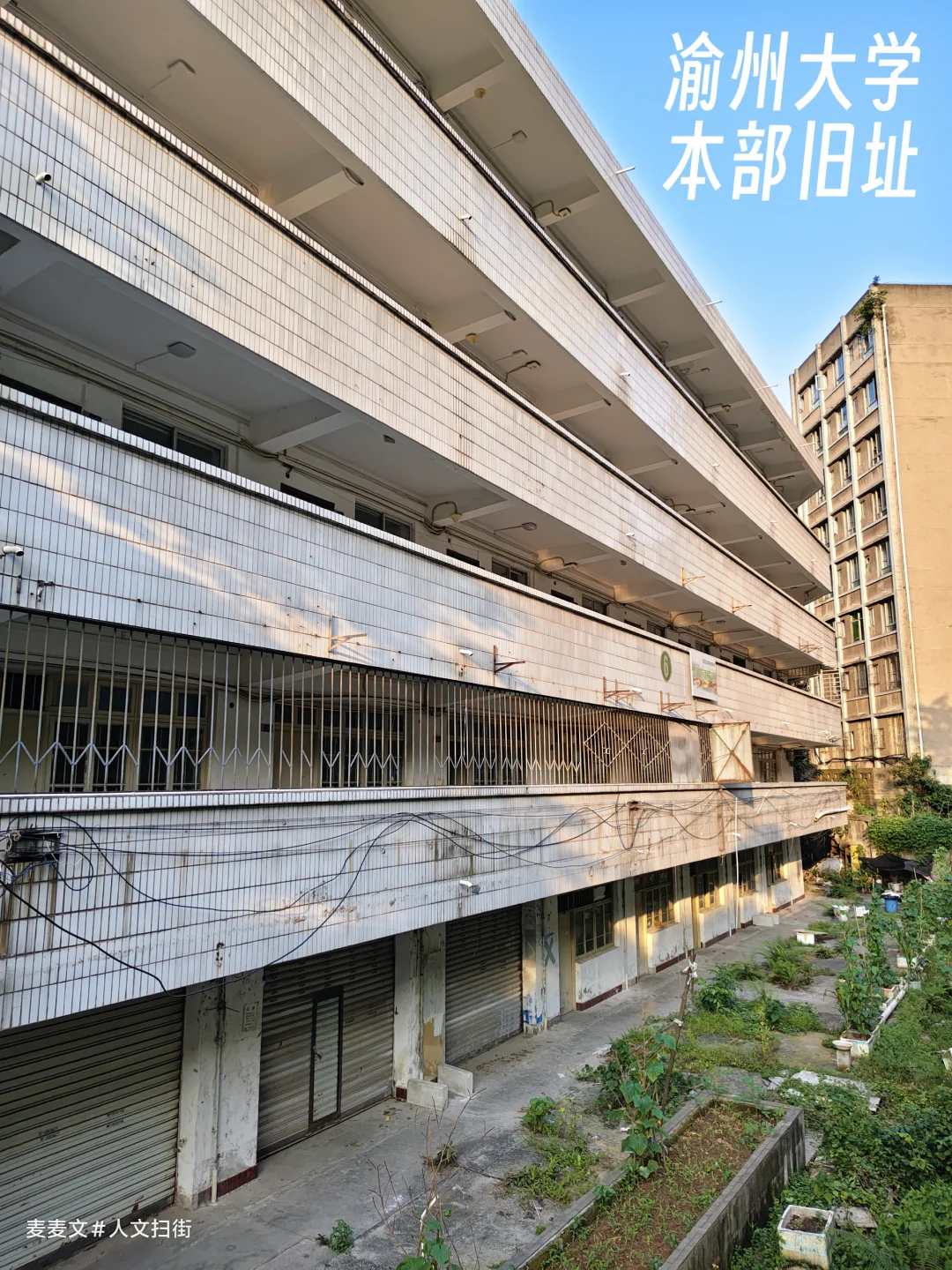 【江北】围挡后的老校园，空无一人的宿舍