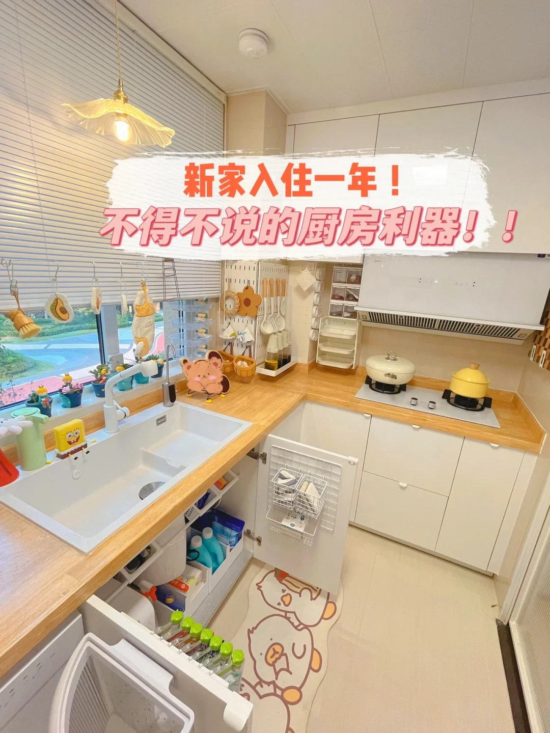 为了这个集成灶，我想再买套房！