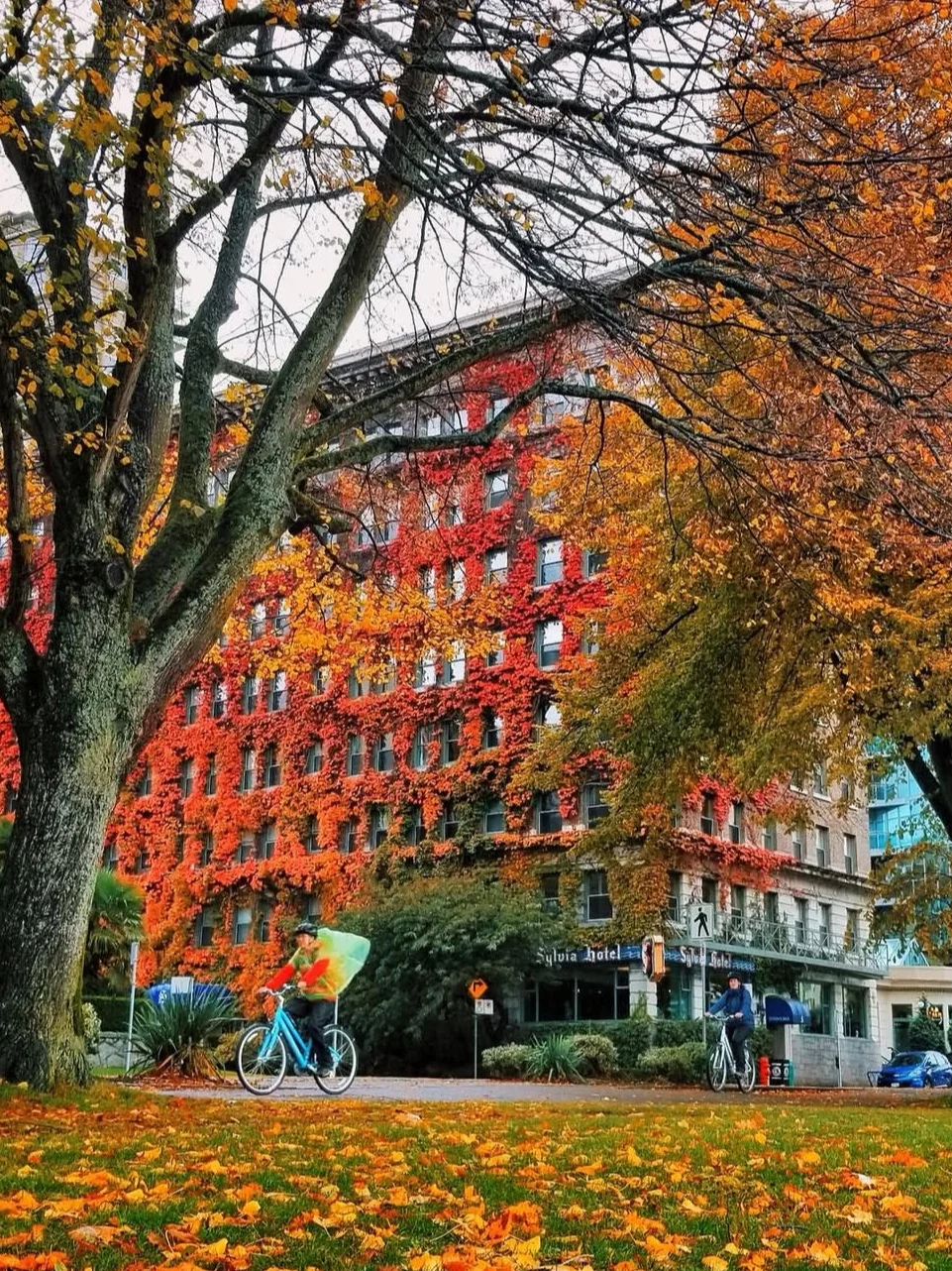 温哥华，在云、海、枫叶之间找到城市的浪漫