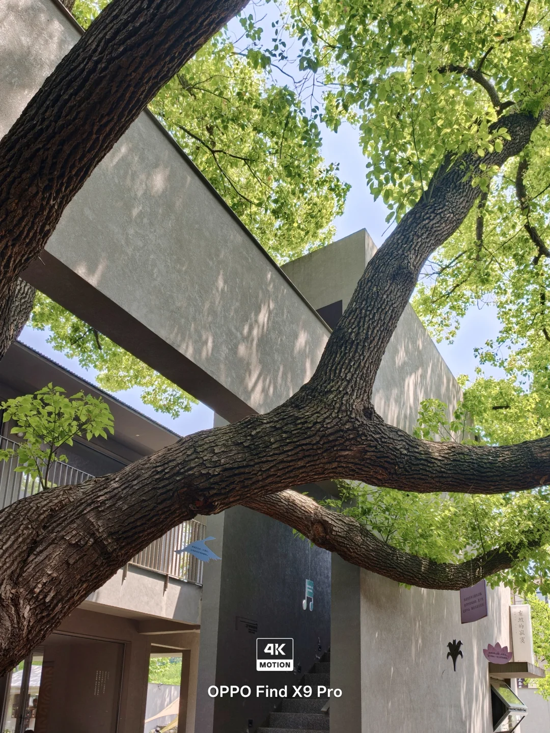 以为西湖已经够美了，直到我来到了这里🌳
