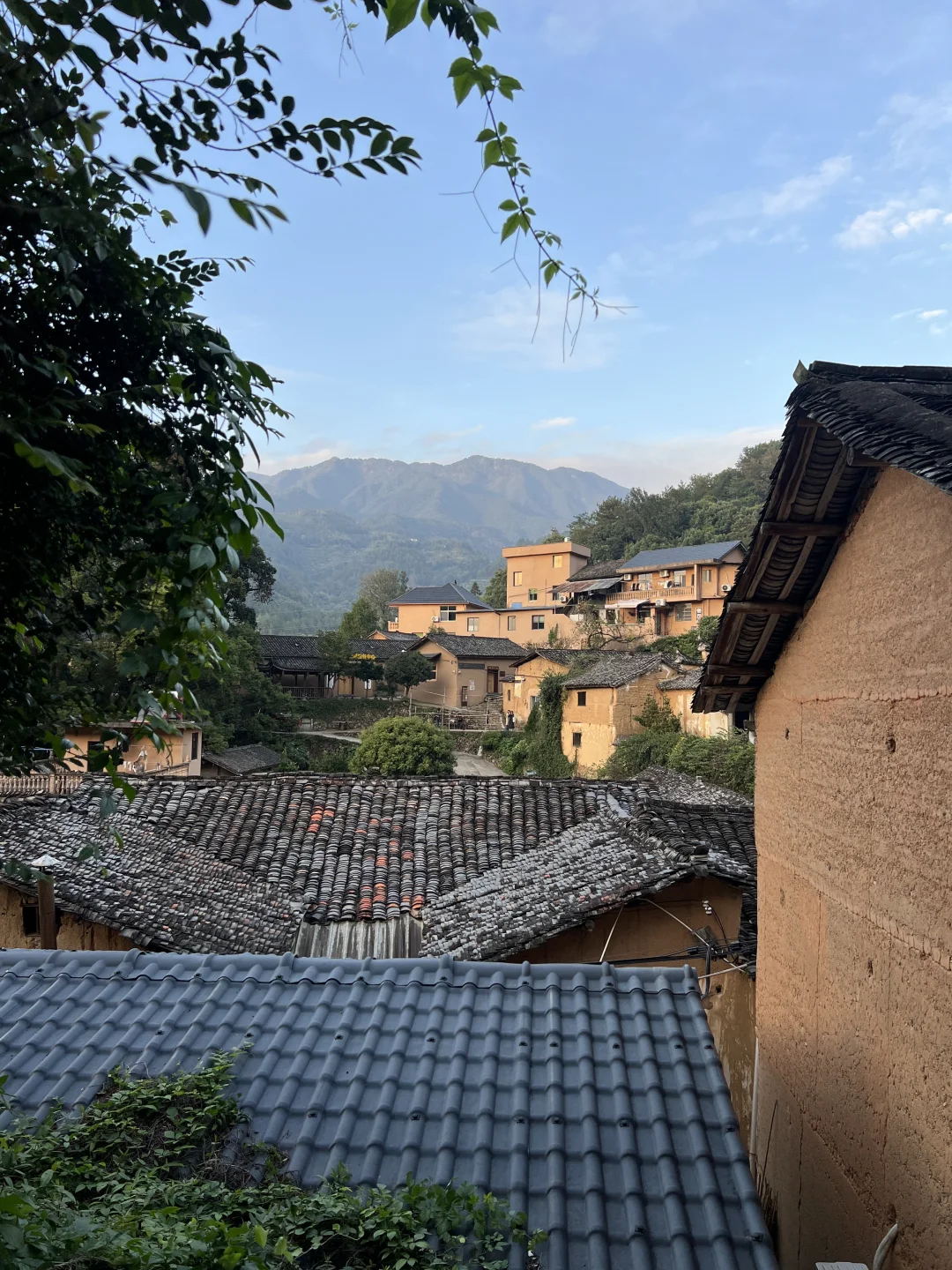 村口的风景真能治愈一切哈啊啊啊