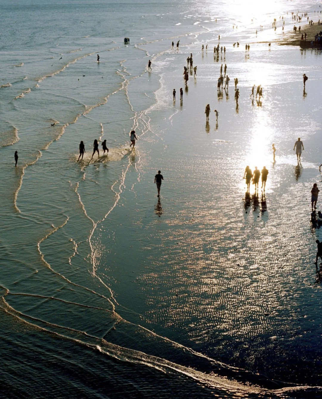 “𝓢𝓮𝓪𝓼𝓲𝓭𝓮 𝓑𝓻𝓲𝓰𝓱𝓽𝓸𝓷”