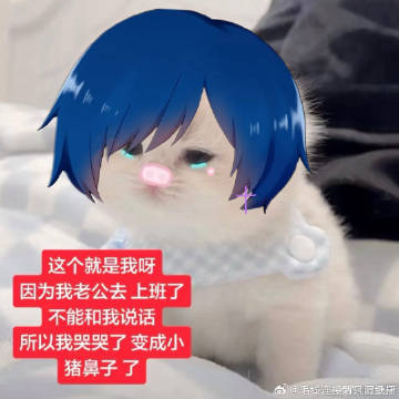 花小北你个小笨蛋 你自己在家不上班不发视频全靠老公养活 那你老公某幻他...
