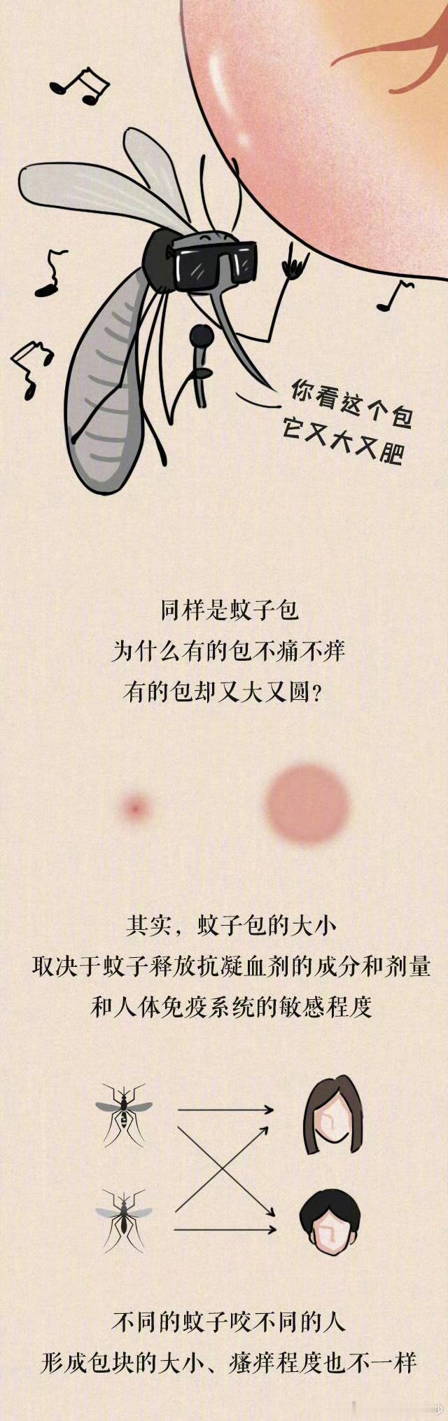 【又大又圆的蚊子包里有什么】蚊子叮人时，其唾液中的蛋白酶会进入血液，随...