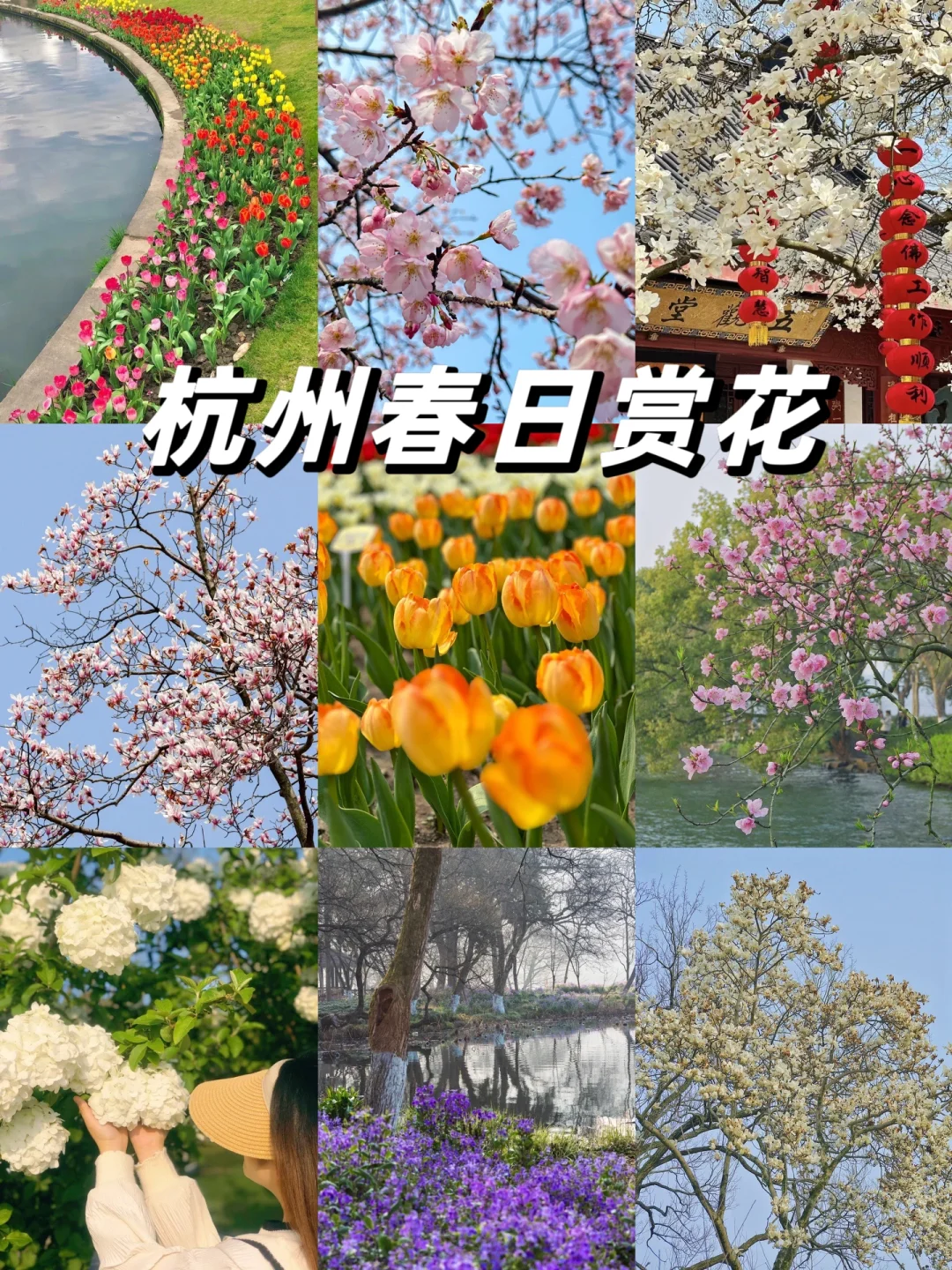 杭州春日必去的7个赏花好去处❗️❗️