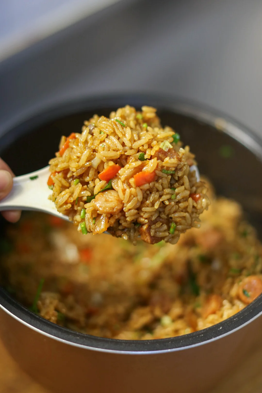 1分钟就能看会，容易上手很快做的懒人焖饭