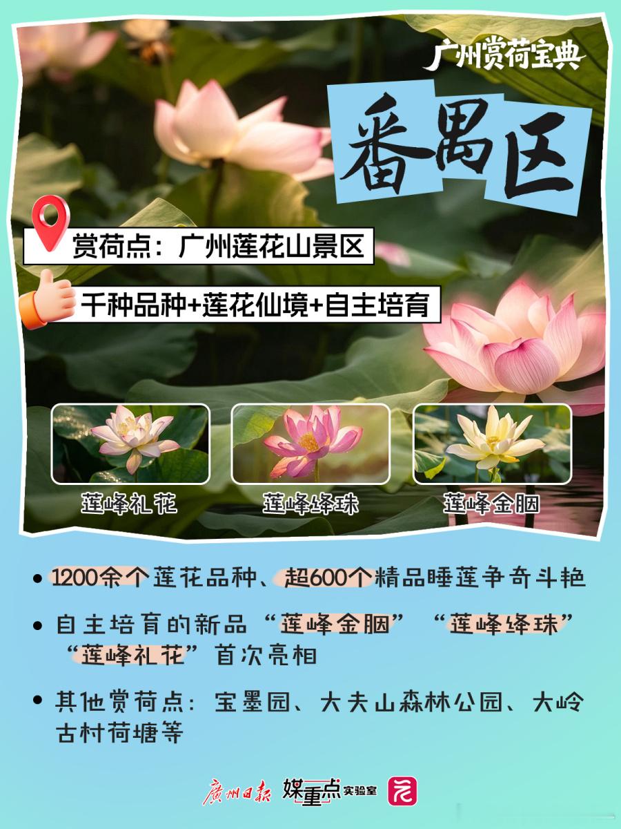 声色广州【抓紧时间赏荷去！这些广州宝藏赏荷地，你去过吗？】荷风入夏，诗...