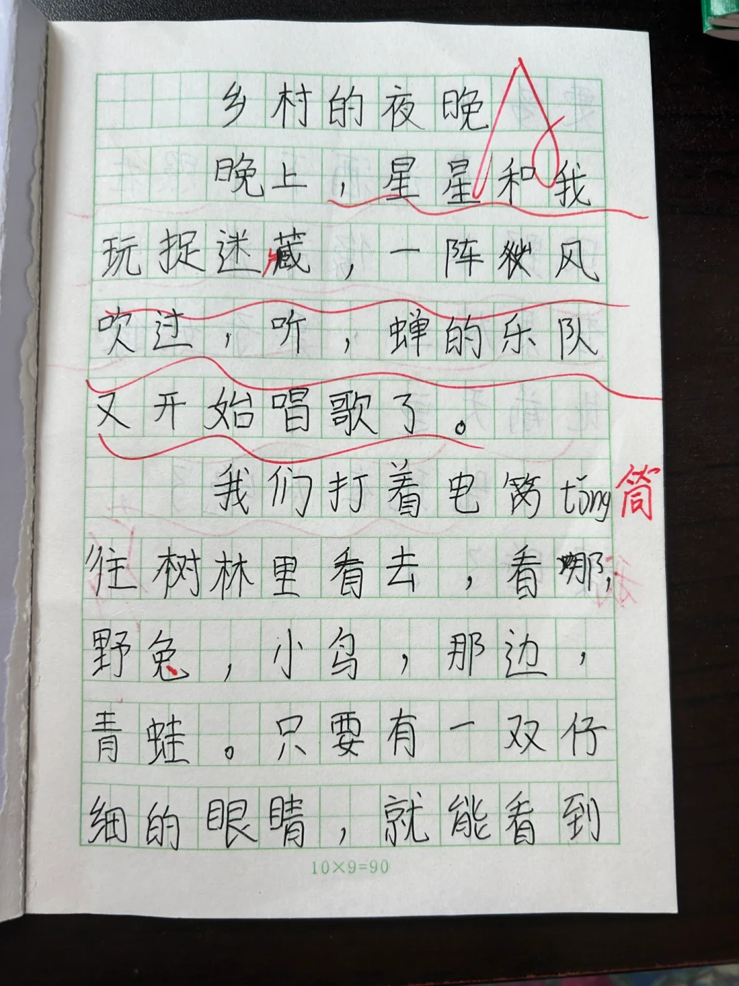 小练笔1《乡村的夜晚》