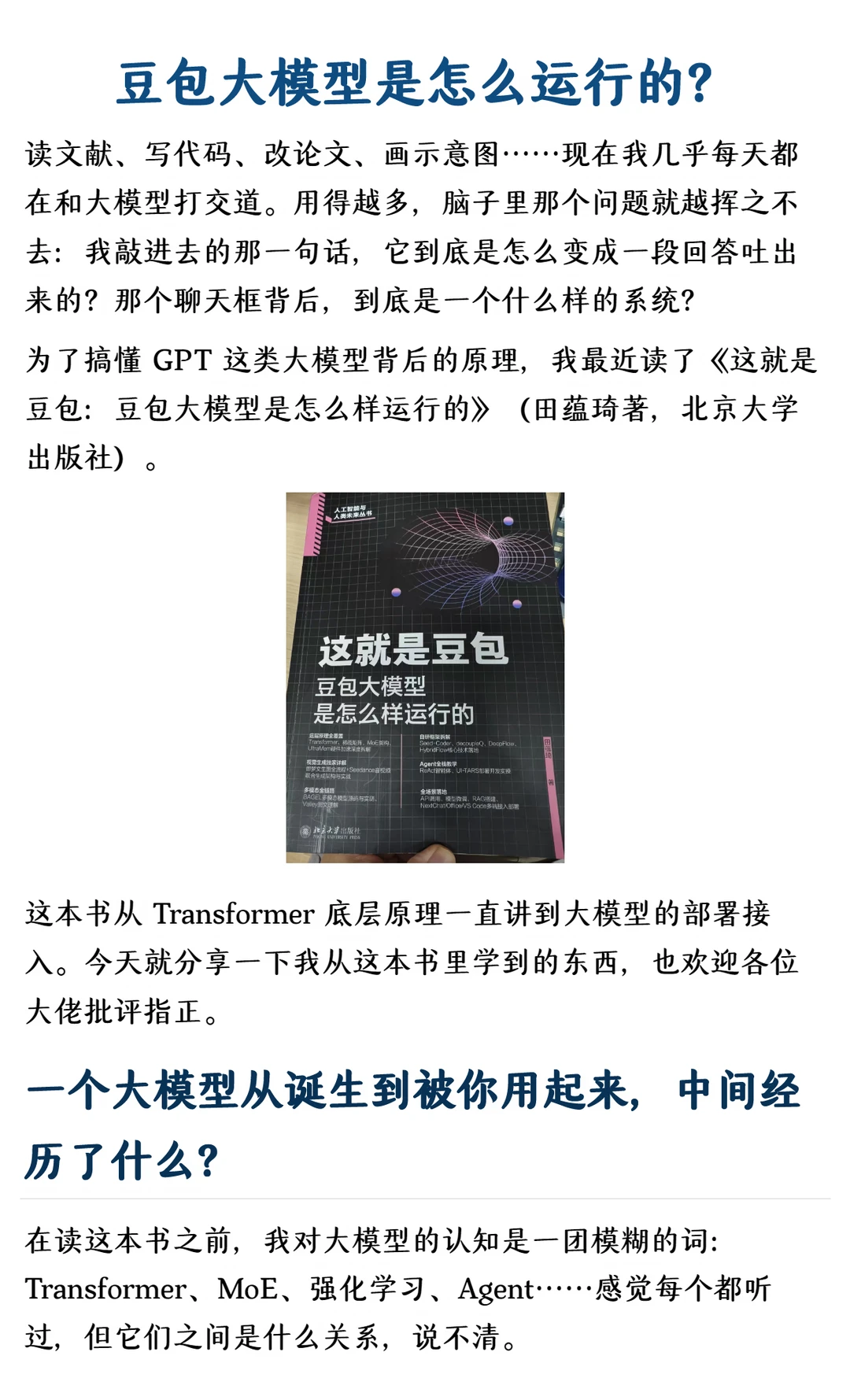 dou 包大模型是怎么运行的？