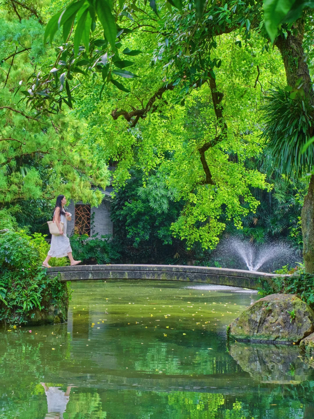 不在苏州❗️在广州的绿意小江南🌿简直美哭了