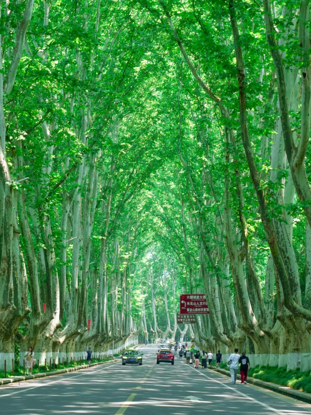 南京旅行后劲太大了😭，听听我的真实感受！
