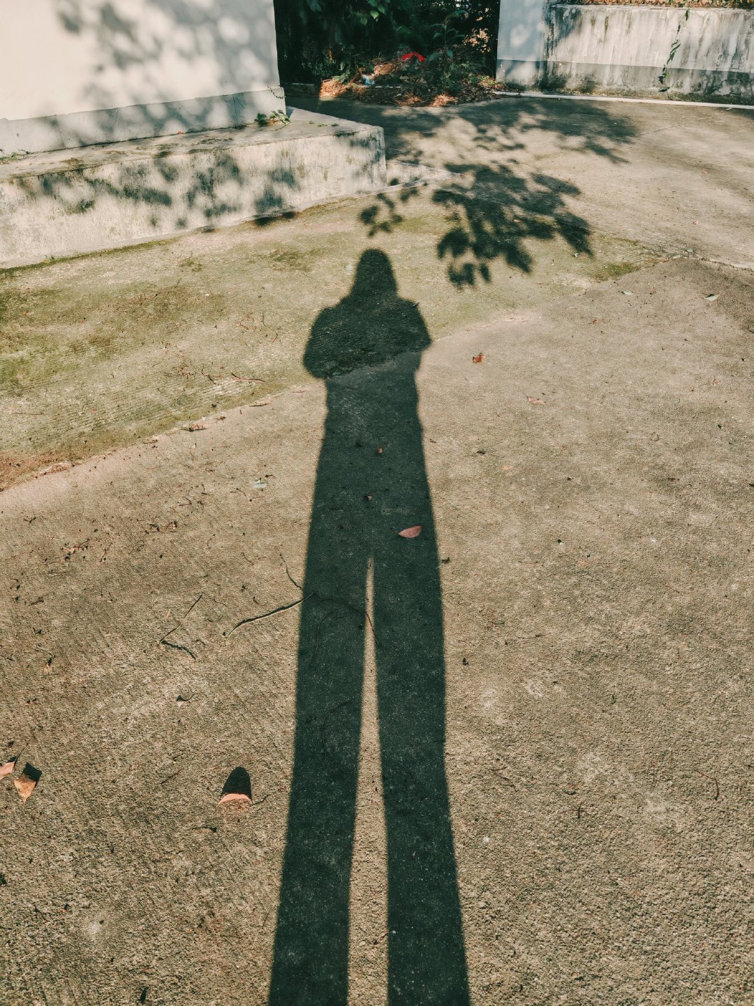 一睁眼就各种忙，煮早餐，送娃上学，回来还得刷锅洗碗。
收拾完毕，就可以晒晒太阳，刷刷手机。
昨天人民日报发文，超强厄尔尼诺已经形成。冬季南方雨水多，冻灾发生的概率增大，所以有太阳的时候，多晒晒，储备下能量。[可爱][可爱][可爱] ​