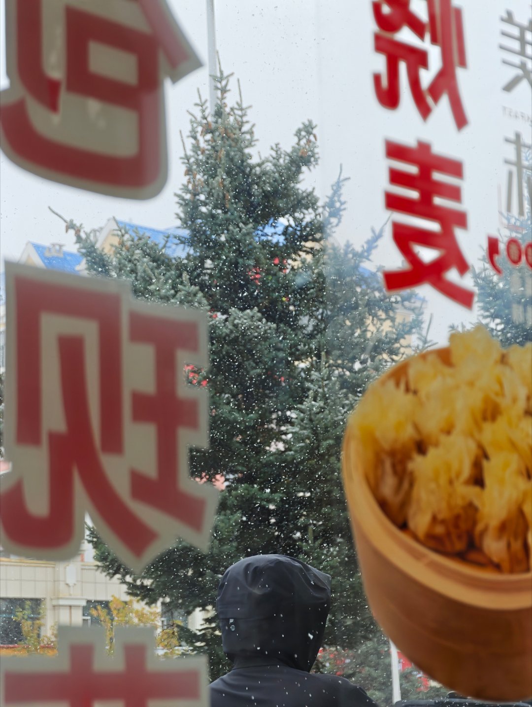 祖国是真大啊，额尔古纳已经开始下大雪了我的乐道l80出行日记  ​​​