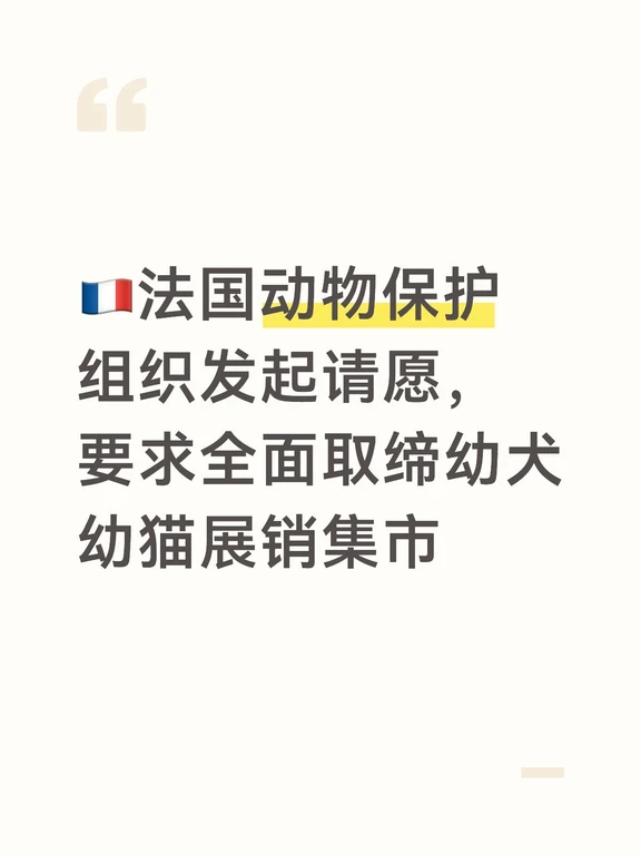 法国知名动物保护组织 三千万朋友 ，9月18日发布暗访调查报告，同步上线请愿，呼吁彻底取缔幼犬、幼猫线下展销集市。
	
基金会在今年夏天暗访多家宠物沙龙，拍到大量违规场景：
刚断奶的小猫小狗被长途运送，连续多天在展会嘈杂环境里展出，容易应激、生病。
现场主打冲动消费，支持分期付款，不核验买家的养宠条件，跳过法定冷静期。很多小动物买回家之后，最后遭到遗弃。
今年法国已经禁止宠物店售卖猫狗，但这类宠物展销集市还可以继续办。
	
政府当前方案是加强现场监管，并不打算直接取消展会。动物保护组织认为这个措施治标不治本，坚持要求全面禁令。
	
部分城市已经先行一步，不再批准这类幼宠展销活动。
⚠️提示：目前只是民间请愿阶段，尚未形成法律，政府暂时没有采纳全面禁止的提议。
	
#yabandremit #雅本速汇 #法国 #欧洲