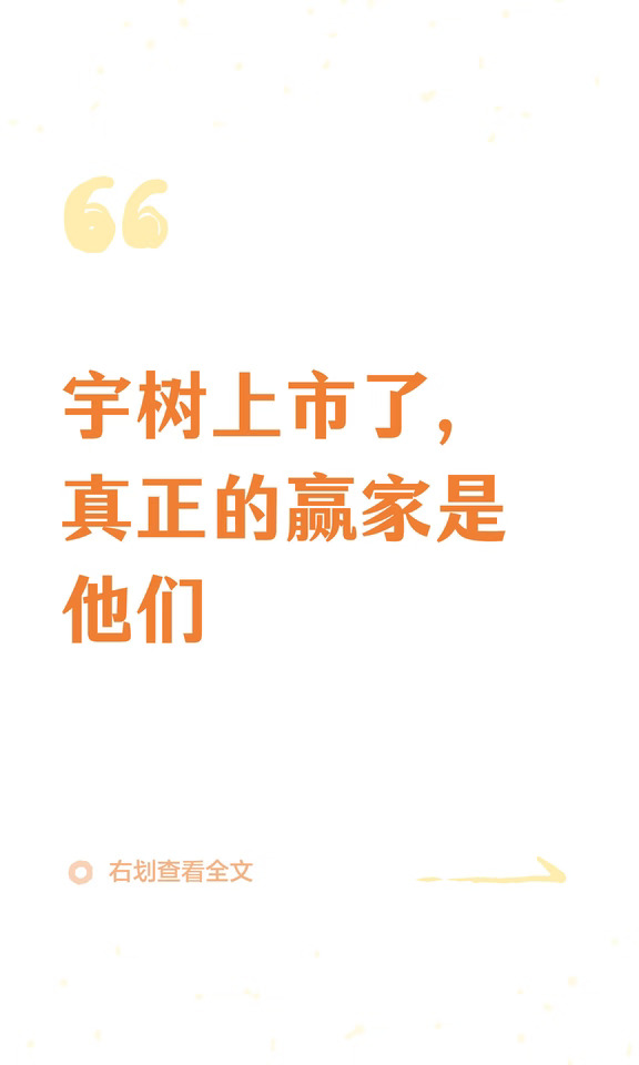 宇树上市了，真正的赢家是他们