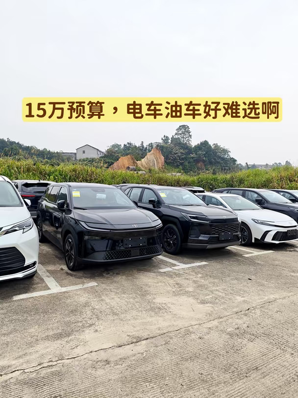 同样15万预算，电车和油车好难选啊!