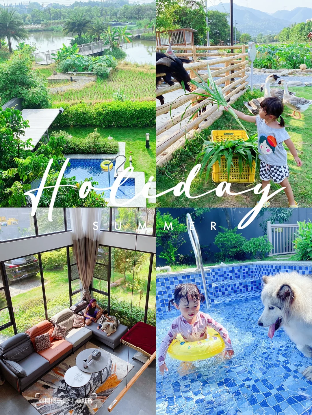 暑假亲子游｜回归田园生活🌾玩水抓鱼喂动物