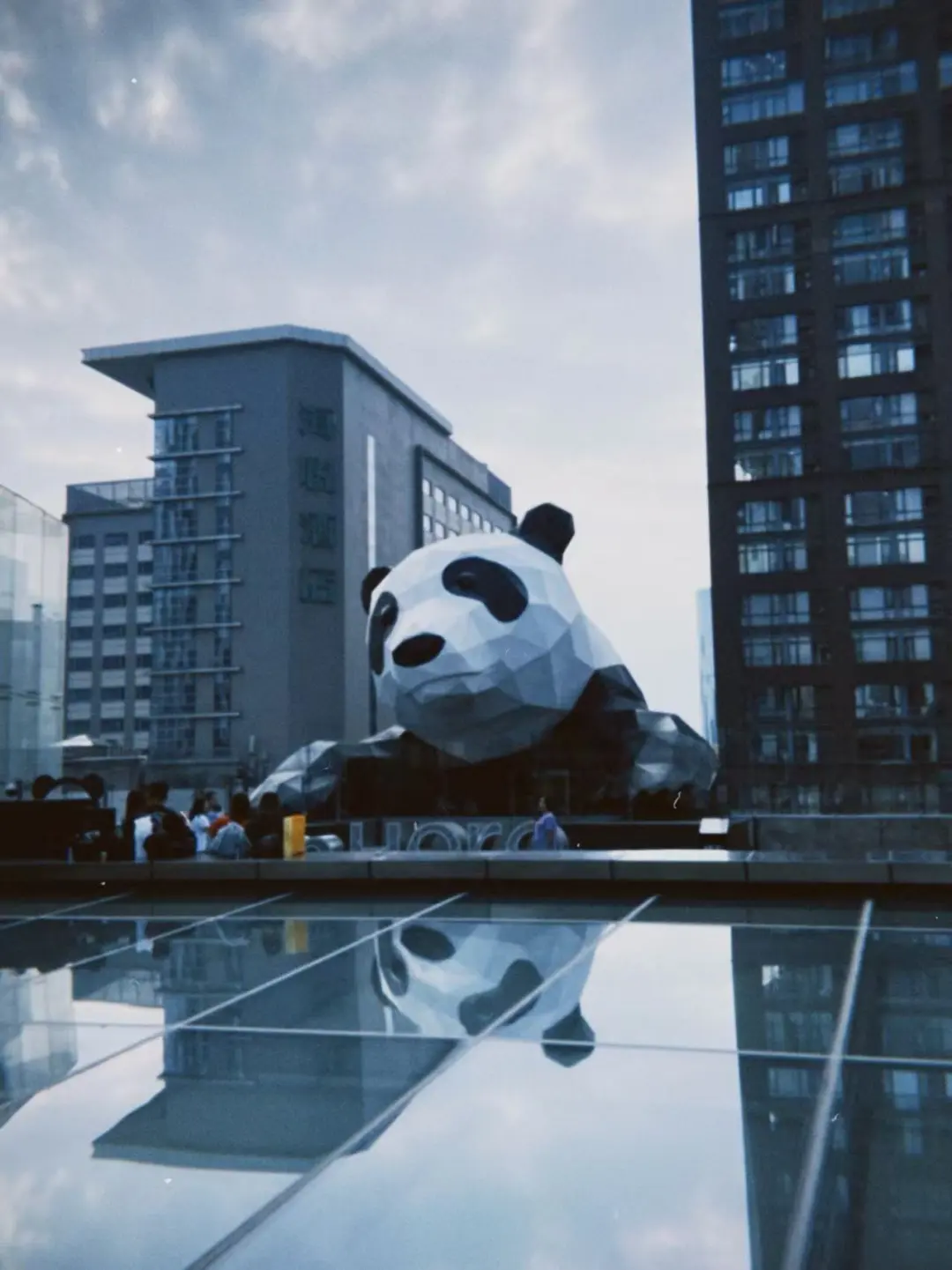 大家真是风雨无阻呢～