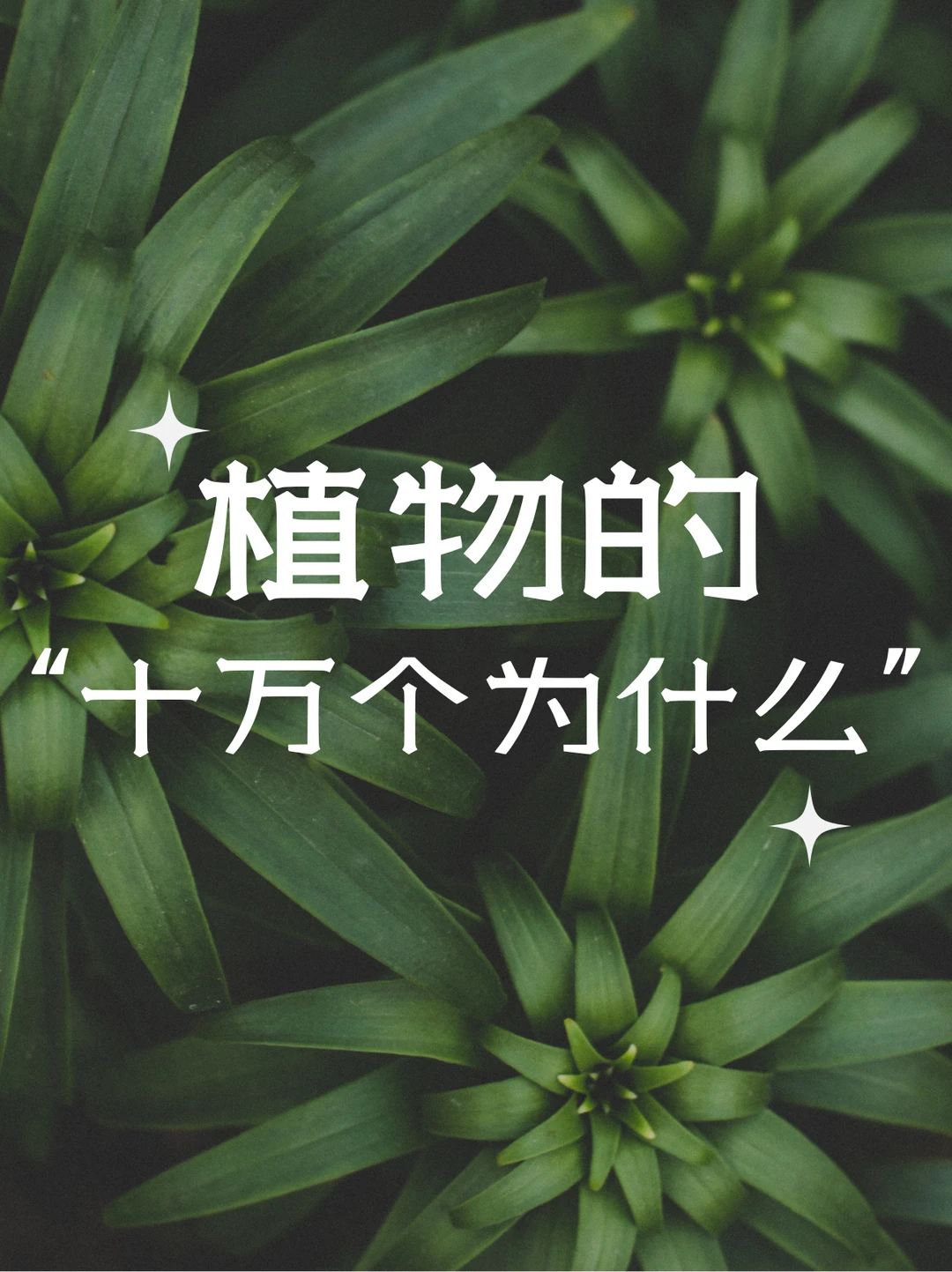 🌿植物的“十万个为什么”