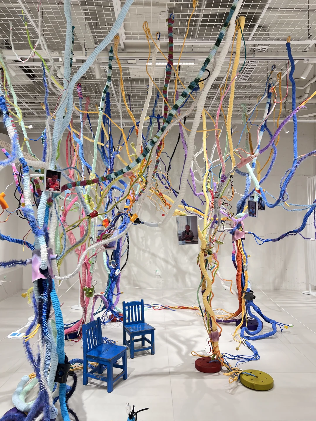 上海免费新展❣️草原上织一张彩色的梦网🕸️