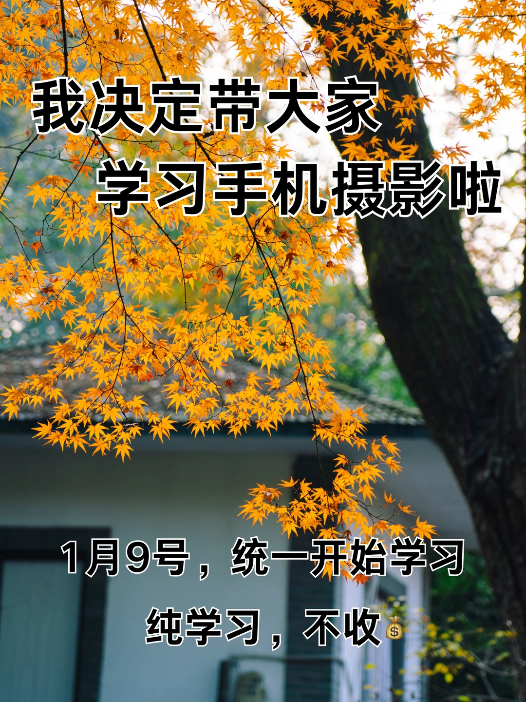 我决定带大家学习手机摄影啦！！