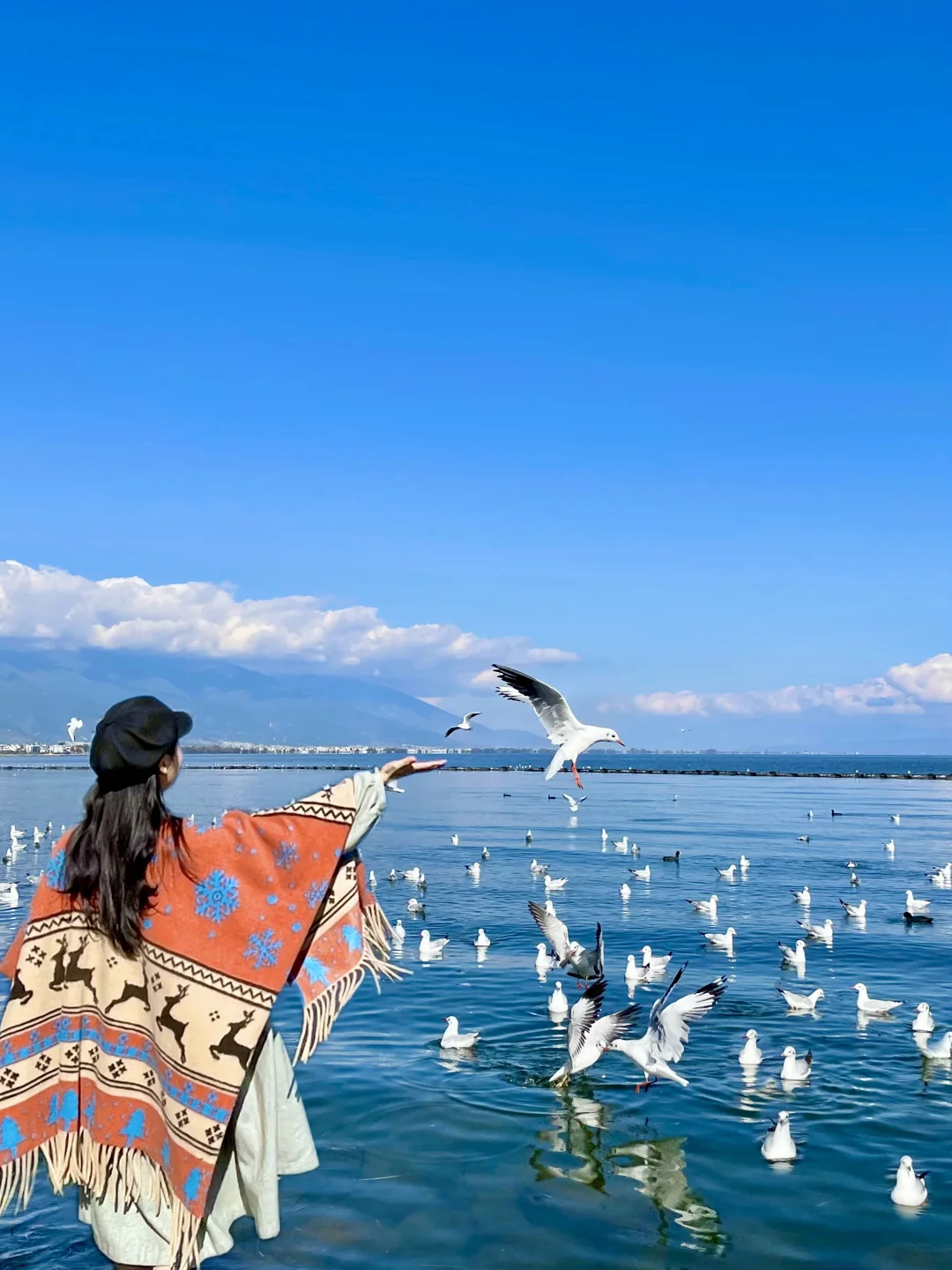 冬天的大理真的是人间理想😭避坑指南‼️
