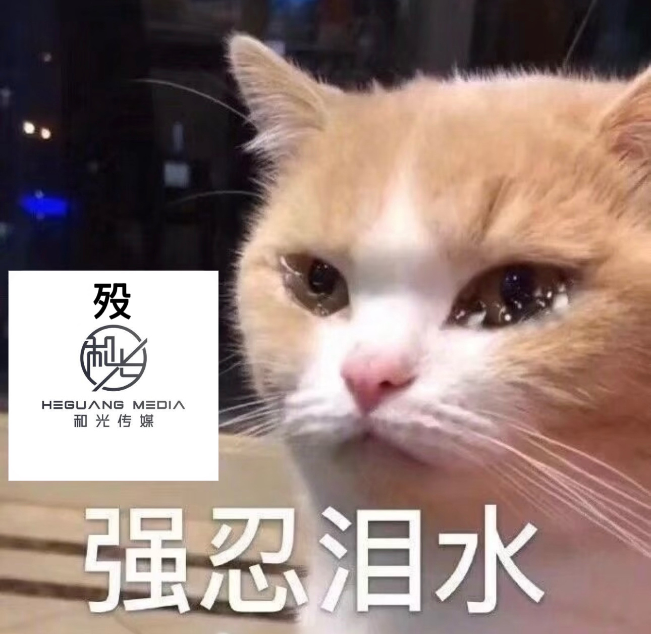 和光，你走的好突然！ 你真的不要我们了吗[捂嘴哭] ​​​