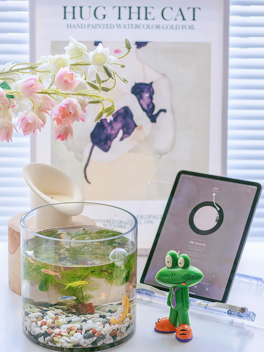 宅家日常｜百元💰鱼缸养鱼的小乐趣