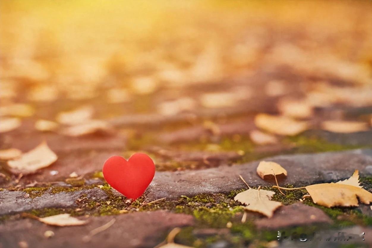 挽回另一半的四大高招，运用这四种“手段”，让爱情重燃希望 挽回爱情四大...