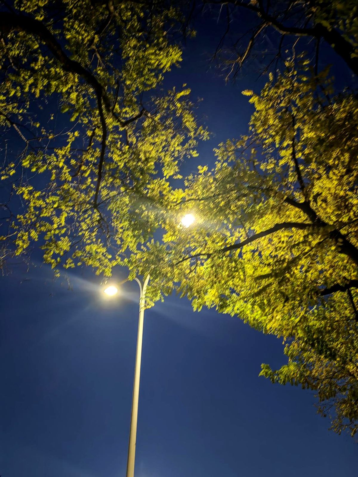 所谓的“不还房贷一身轻”，其实是婚姻里最奢侈的炫耀，它炫的不是财富，而...