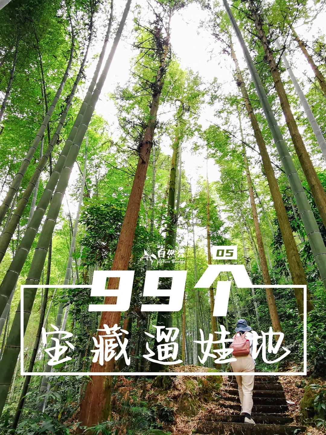 打卡99个宝藏遛娃地-缙云山